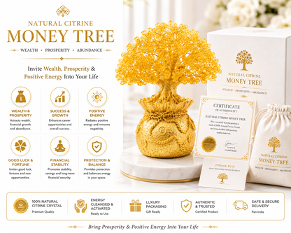 Luxury Feng Shui Money Tree Decor for Abundance & Success